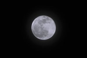 Happy Blue Moon!_4232233727_o.jpg
